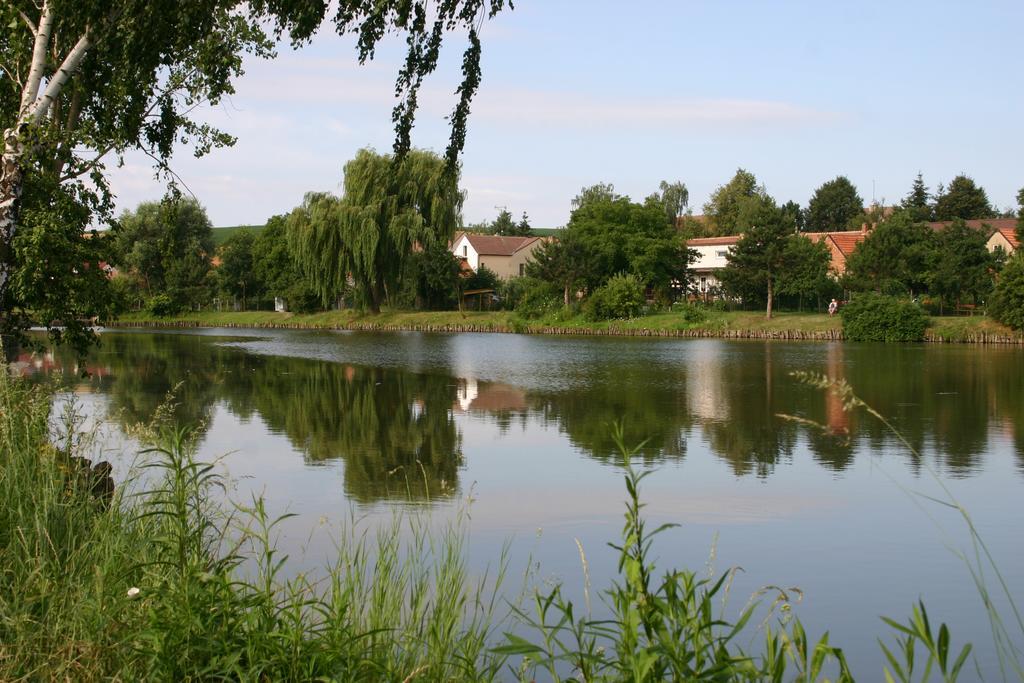 Отель Penzion U Sklepu Hovorany Экстерьер фото